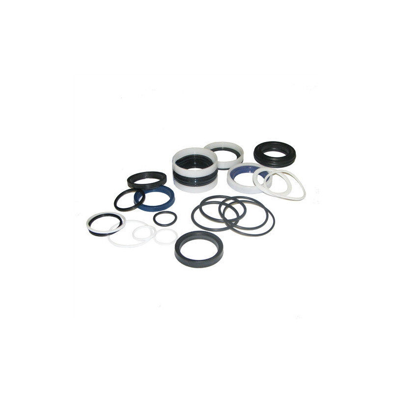 Juego de juntas / retenes Ø50/36-200 DZ HACO