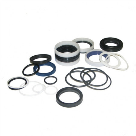 Juego de juntas / retenes Ø50/36-200 DZ HACO