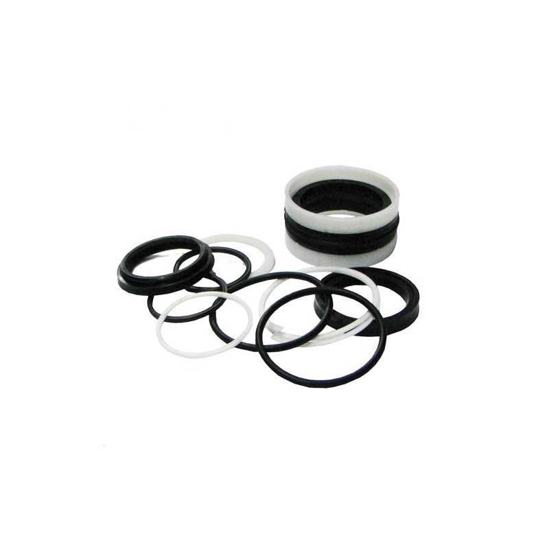 Juego de juntas / retenes Ø60/40-220 HACO