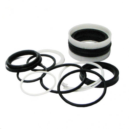 Juego de juntas / retenes Ø60/40-220 HACO