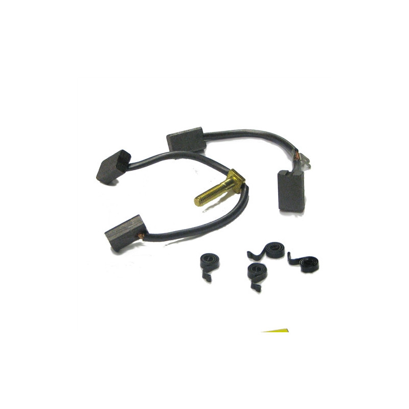 Kit de escobillas 12V