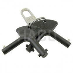 Llave juego tipo antiguo y nuevo para Dhollandia de Haco