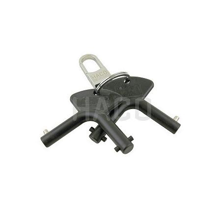 Llave juego tipo antiguo y nuevo para Dhollandia de Haco