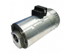 Motor 4,5kW 24V cerrado M CW ventilado Haco