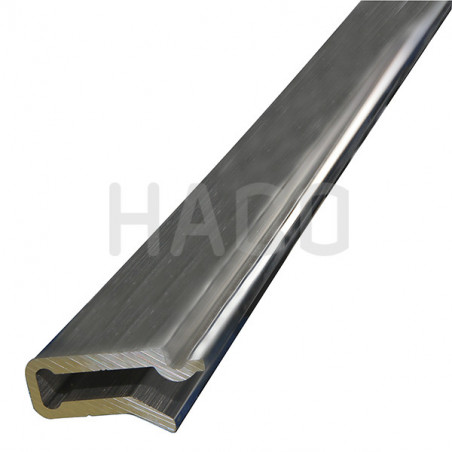 Perfil Alu de fijación caucho / 2550mm / Dhollandia