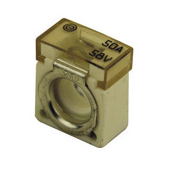 Bloque de fusibles 50 Amp.