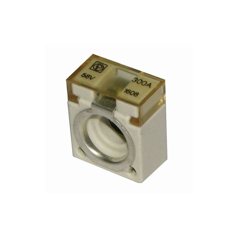 Fusible 300A Pudenz